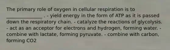 The primary role of oxygen in cellular respiration is to _______________ . - yield energy in the form of ATP as it is passed down the respiratory chain. - catalyze the reactions of glycolysis. - act as an acceptor for electrons and hydrogen, forming water. - combine with lactate, forming pyruvate. - combine with carbon, forming CO2