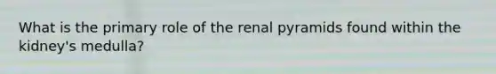 What is the primary role of the renal pyramids found within the kidney's medulla?