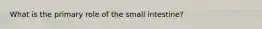 What is the primary role of the small intestine?