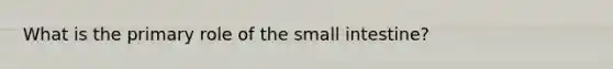 What is the primary role of the small intestine?