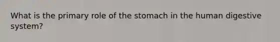 What is the primary role of the stomach in the human digestive system?