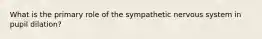 What is the primary role of the sympathetic nervous system in pupil dilation?