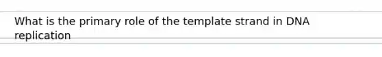 What is the primary role of the template strand in DNA replication