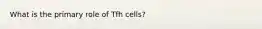 What is the primary role of Tfh cells?