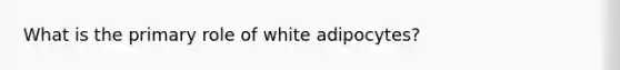 What is the primary role of white adipocytes?