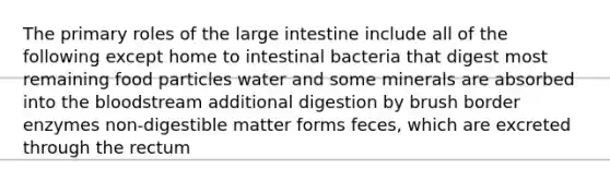 The primary roles of the large intestine include all of the following except home to intestinal bacteria that digest most remaining food particles water and some minerals are absorbed into the bloodstream additional digestion by brush border enzymes non-digestible matter forms feces, which are excreted through the rectum