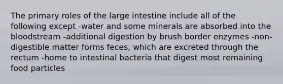 The primary roles of the large intestine include all of the following except -water and some minerals are absorbed into the bloodstream -additional digestion by brush border enzymes -non-digestible matter forms feces, which are excreted through the rectum -home to intestinal bacteria that digest most remaining food particles