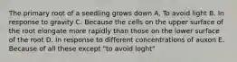 The primary root of a seedling grows down A. To avoid light B. In response to gravity C. Because the cells on the upper surface of the root elongate more rapidly than those on the lower surface of the root D. In response to different concentrations of auxon E. Because of all these except "to avoid loght"