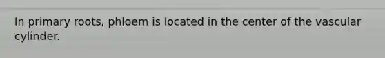 In primary roots, phloem is located in the center of the vascular cylinder.