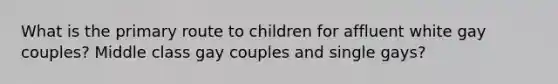 What is the primary route to children for affluent white gay couples? Middle class gay couples and single gays?