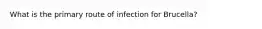 What is the primary route of infection for Brucella?