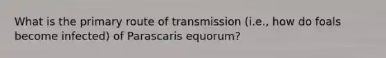 What is the primary route of transmission (i.e., how do foals become infected) of Parascaris equorum?