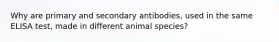 Why are primary and secondary antibodies, used in the same ELISA test, made in different animal species?