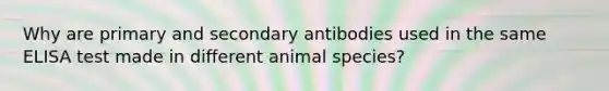 Why are primary and secondary antibodies used in the same ELISA test made in different animal species?