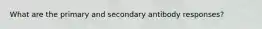 What are the primary and secondary antibody responses?