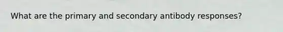 What are the primary and secondary antibody responses?