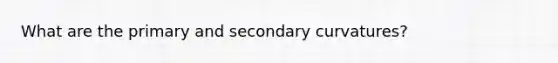 What are the primary and secondary curvatures?