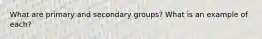 What are primary and secondary groups? What is an example of each?