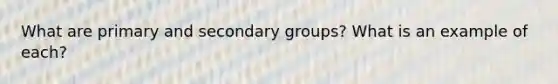 What are primary and secondary groups? What is an example of each?