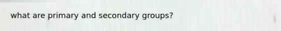 what are primary and secondary groups?