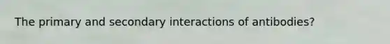 The primary and secondary interactions of antibodies?