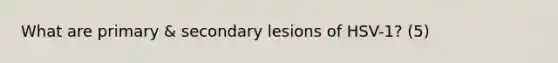 What are primary & secondary lesions of HSV-1? (5)