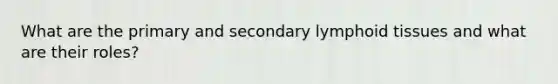 What are the primary and secondary lymphoid tissues and what are their roles?