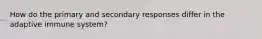 How do the primary and secondary responses differ in the adaptive immune system?