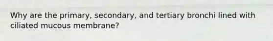 Why are the primary, secondary, and tertiary bronchi lined with ciliated mucous membrane?