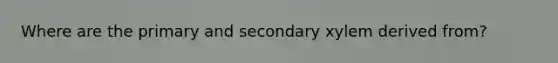 Where are the primary and secondary xylem derived from?