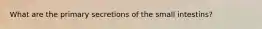 What are the primary secretions of the small intestins?