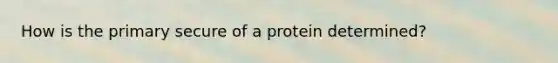 How is the primary secure of a protein determined?