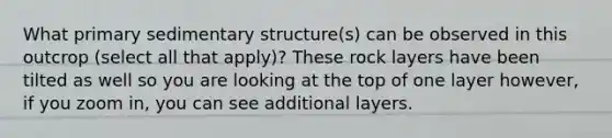 What primary sedimentary structure(s) can be observed in this outcrop (select all that apply)? These rock layers have been tilted as well so you are looking at the top of one layer however, if you zoom in, you can see additional layers.