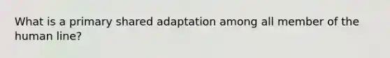 What is a primary shared adaptation among all member of the human line?