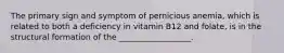 The primary sign and symptom of pernicious anemia, which is related to both a deficiency in vitamin B12 and folate, is in the structural formation of the __________________.