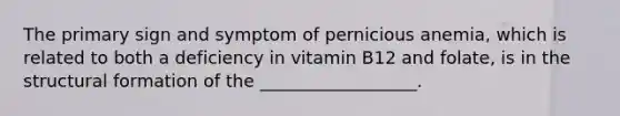 The primary sign and symptom of pernicious anemia, which is related to both a deficiency in vitamin B12 and folate, is in the structural formation of the __________________.