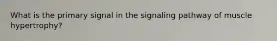 What is the primary signal in the signaling pathway of muscle hypertrophy?