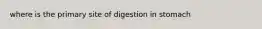 where is the primary site of digestion in stomach