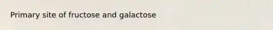 Primary site of fructose and galactose