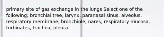 primary site of gas exchange in the lungs Select one of the following; bronchial tree, larynx, paranasal sinus, alveolus, respiratory membrane, bronchiole, nares, respiratory mucosa, turbinates, trachea, pleura.