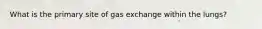 What is the primary site of gas exchange within the lungs?