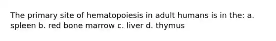 The primary site of hematopoiesis in adult humans is in the: a. spleen b. red bone marrow c. liver d. thymus