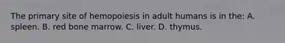 The primary site of hemopoiesis in adult humans is in the: A. spleen. B. red bone marrow. C. liver. D. thymus.