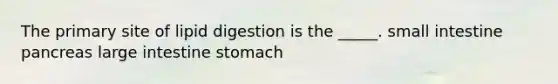 The primary site of lipid digestion is the _____. small intestine pancreas <a href='https://www.questionai.com/knowledge/kGQjby07OK-large-intestine' class='anchor-knowledge'>large intestine</a> stomach