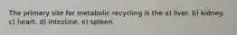 The primary site for metabolic recycling is the a) liver. b) kidney. c) heart. d) intestine. e) spleen.