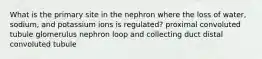 What is the primary site in the nephron where the loss of water, sodium, and potassium ions is regulated? proximal convoluted tubule glomerulus nephron loop and collecting duct distal convoluted tubule