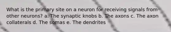 What is the primary site on a neuron for receiving signals from other neurons? a. The synaptic knobs b. The axons c. The axon collaterals d. The somas e. The dendrites