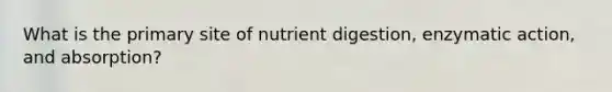 What is the primary site of nutrient digestion, enzymatic action, and absorption?