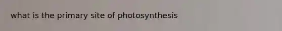 what is the primary site of photosynthesis