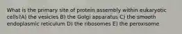 What is the primary site of protein assembly within eukaryotic cells?A) the vesicles B) the Golgi apparatus C) the smooth endoplasmic reticulum D) the ribosomes E) the peroxisome